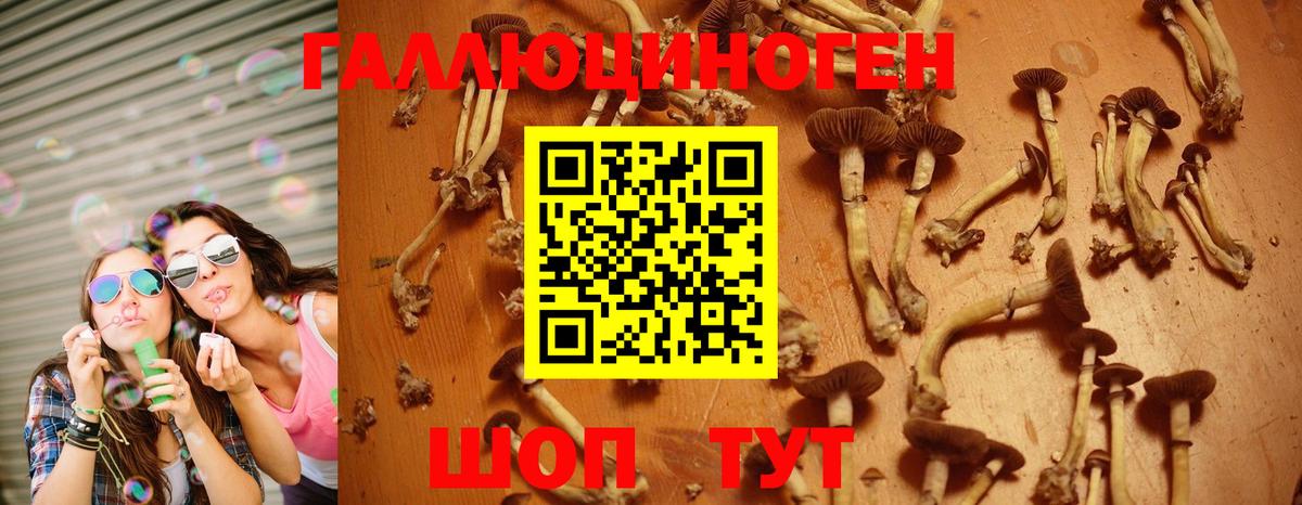Псилоцибиновые грибы мухоморы Ростов Великий